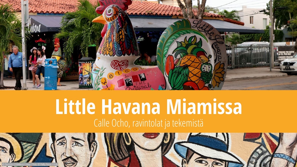 Little Havana Miamissa – Calle Ocho, ravintolat ja nähtävää | © Kiitos (23 miljoonaa+) katselua / Flickr, © Phillip Pessar / Flickr