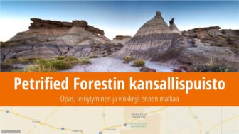 Petrified Forestin kansallispuisto – kuvat, matkaopas, tietoa