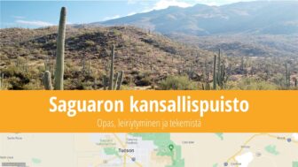 Saguaron kansallispuisto – matkaopas, polut, kuvat