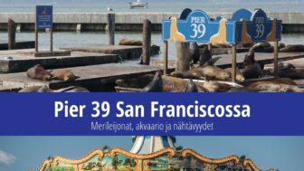 Pier 39 San Francisco – merileijonat, akvaario ja valokuvia